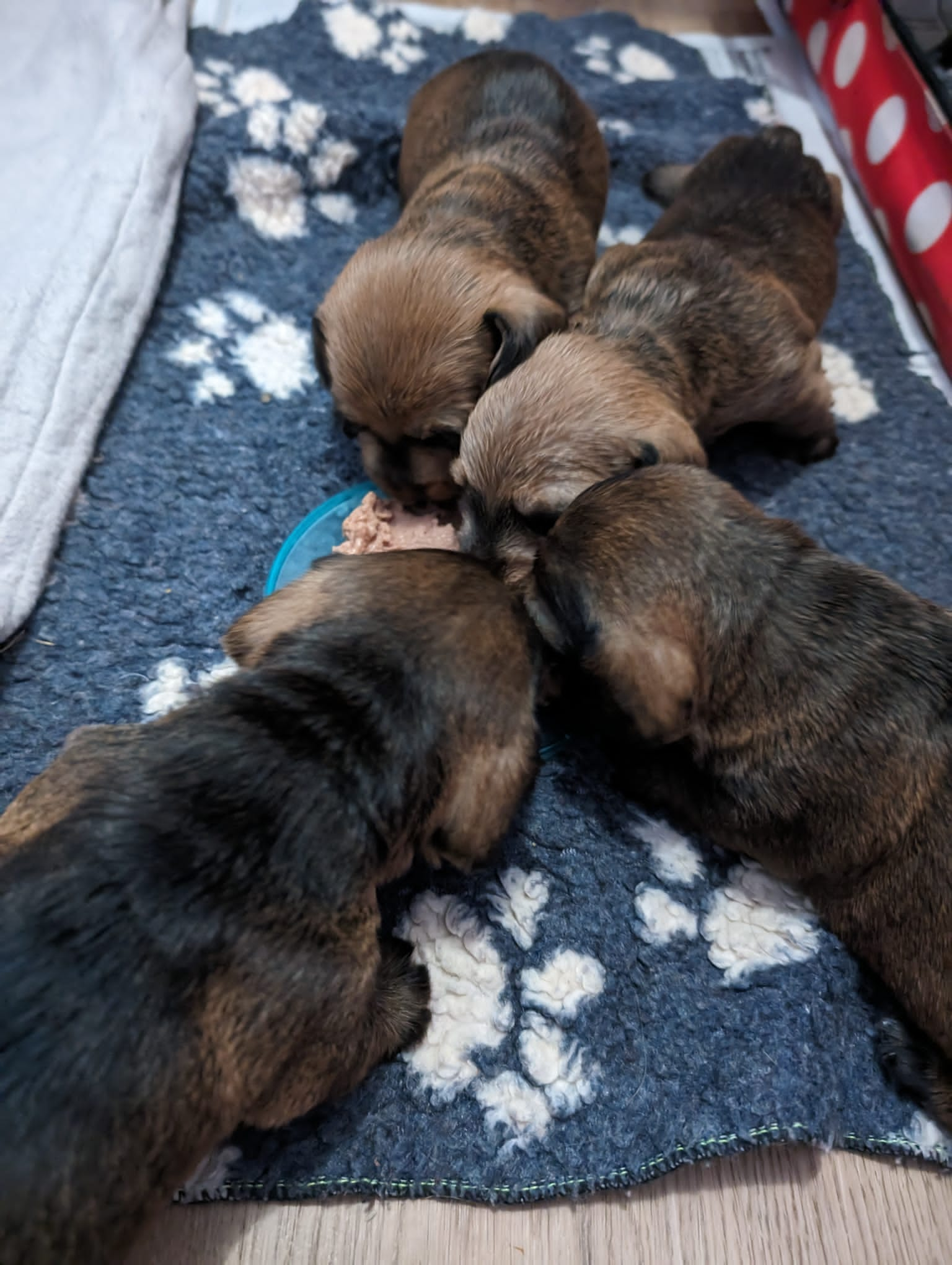 First taste of food