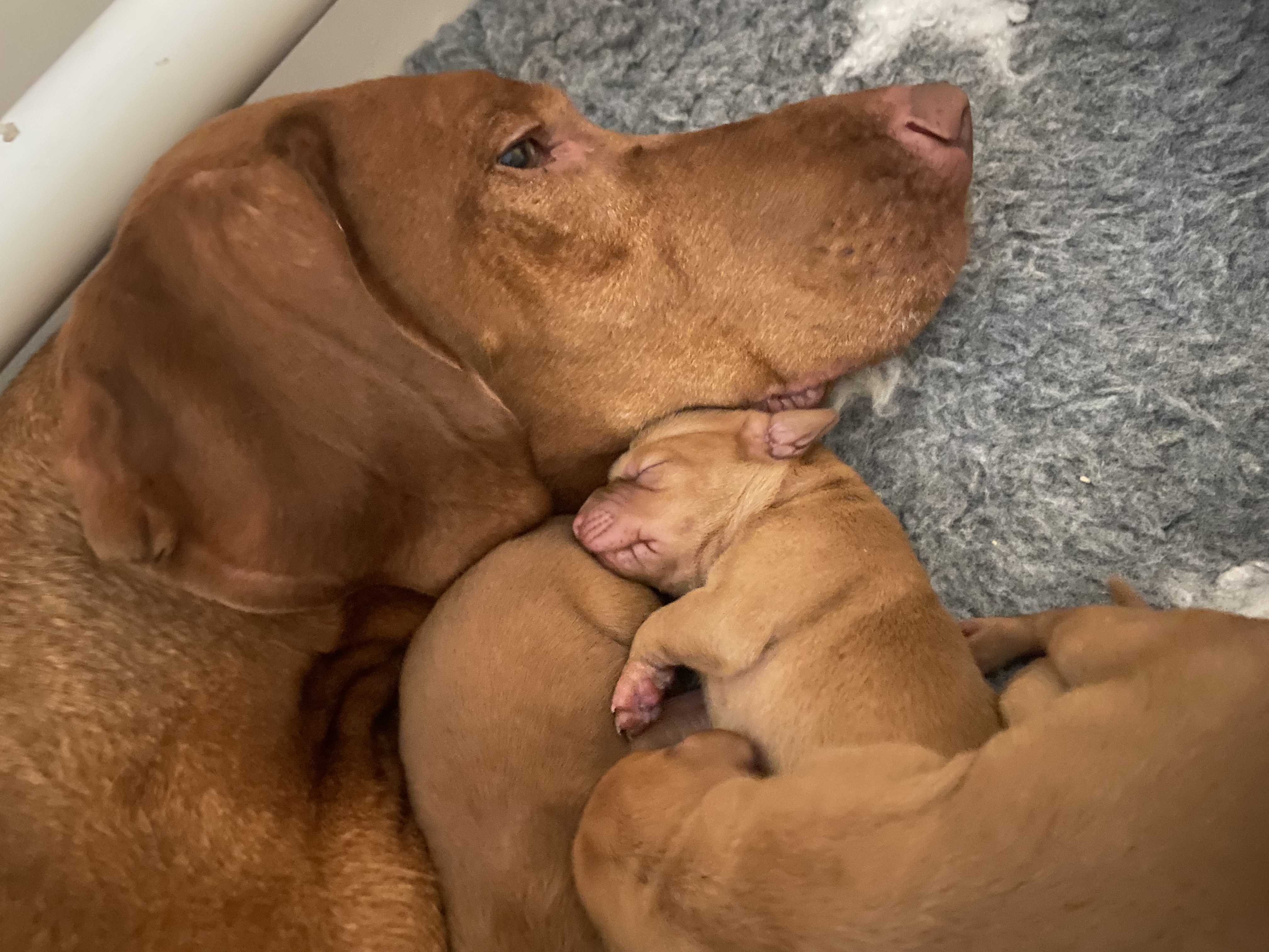 Cuddles with mum