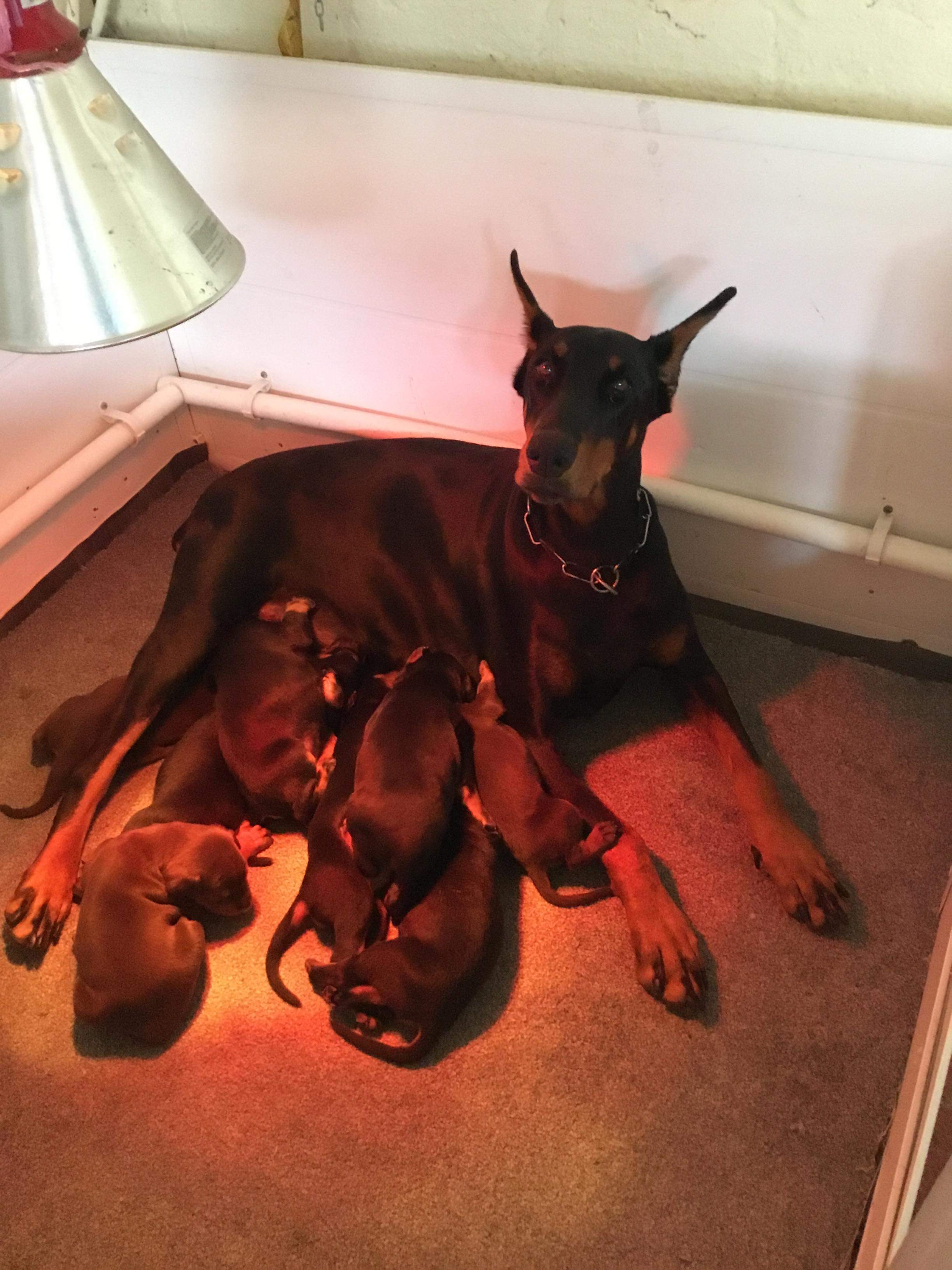 Proud Mum with her babies