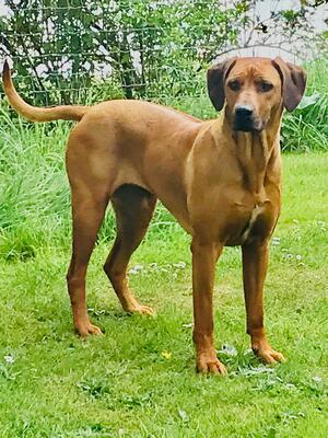 Great-looking mum 4-year-old Mabel