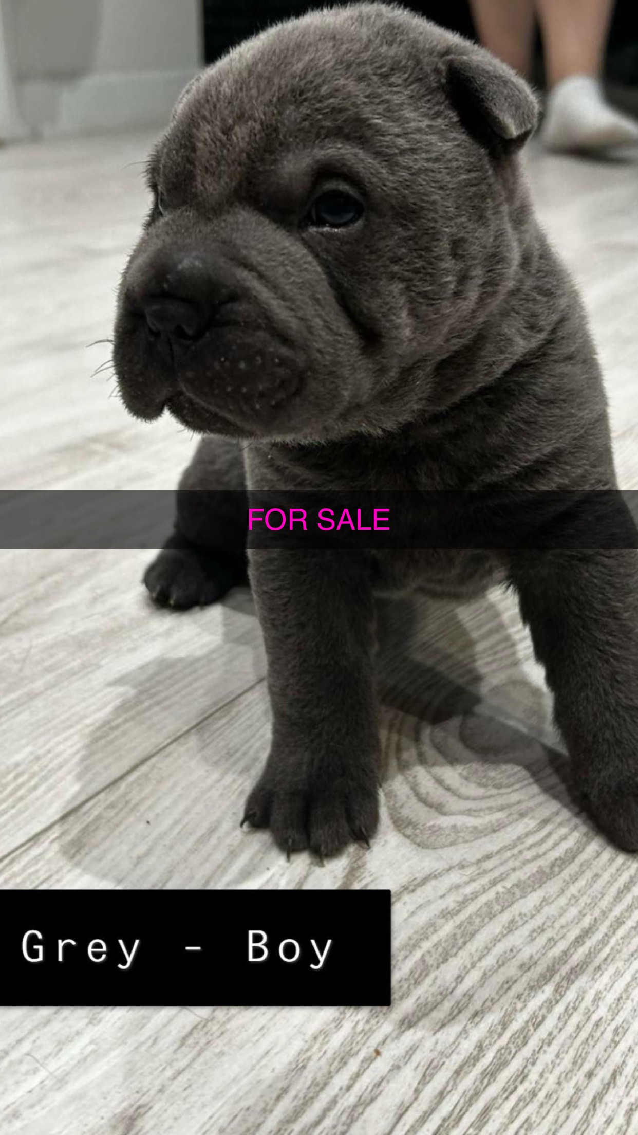 For Sale 