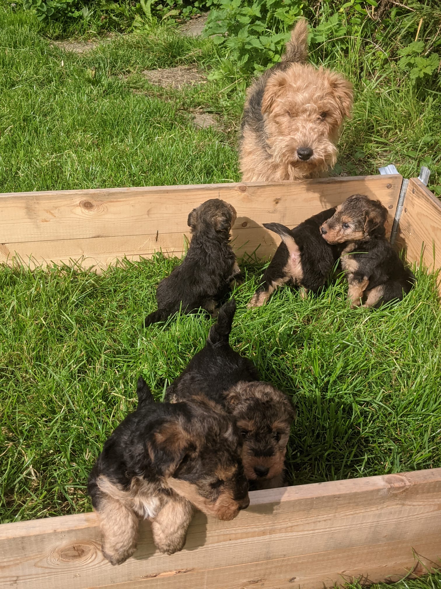 With mum in the playpen.