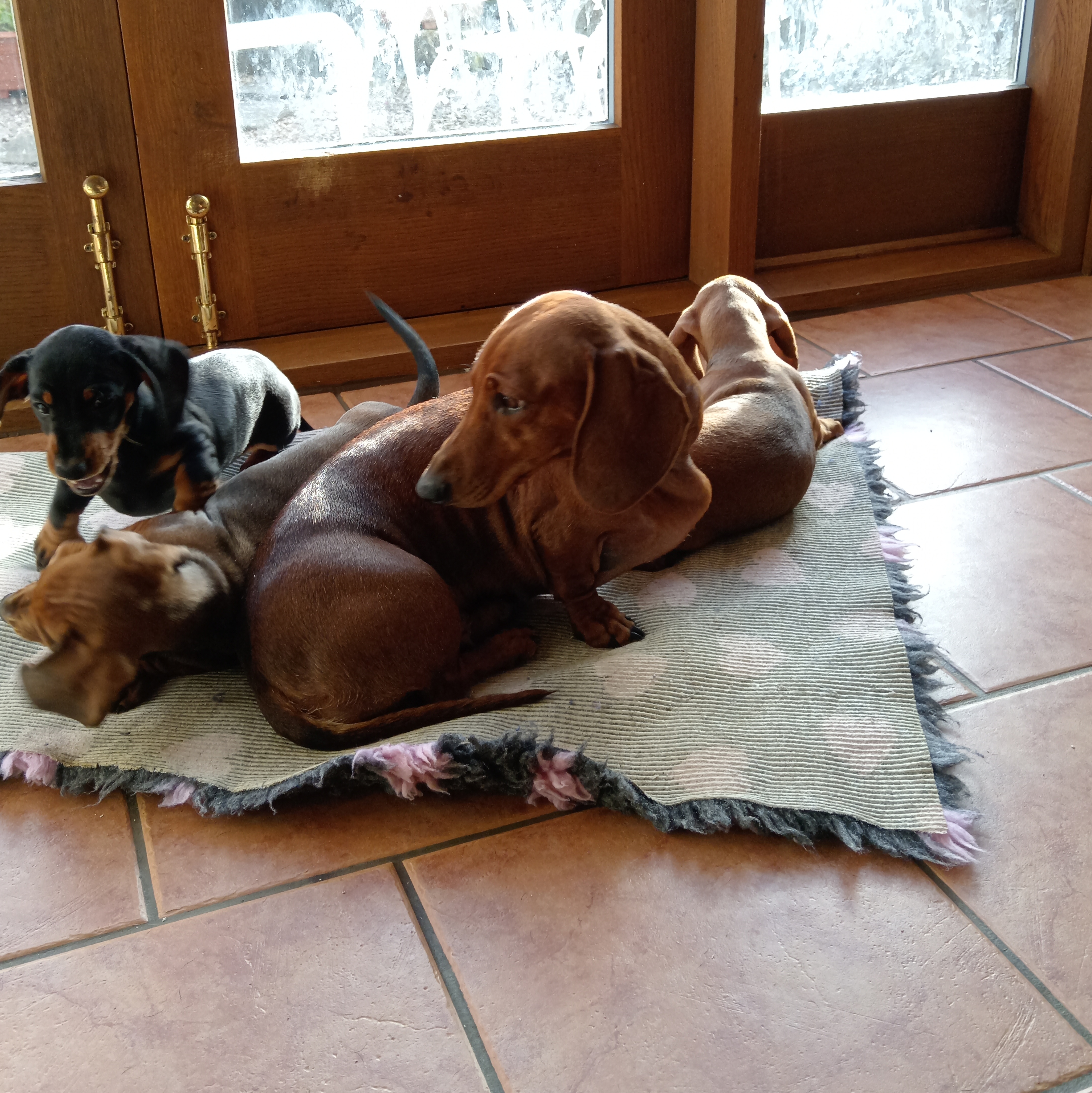 Playtime under the watchful eyes of mummy