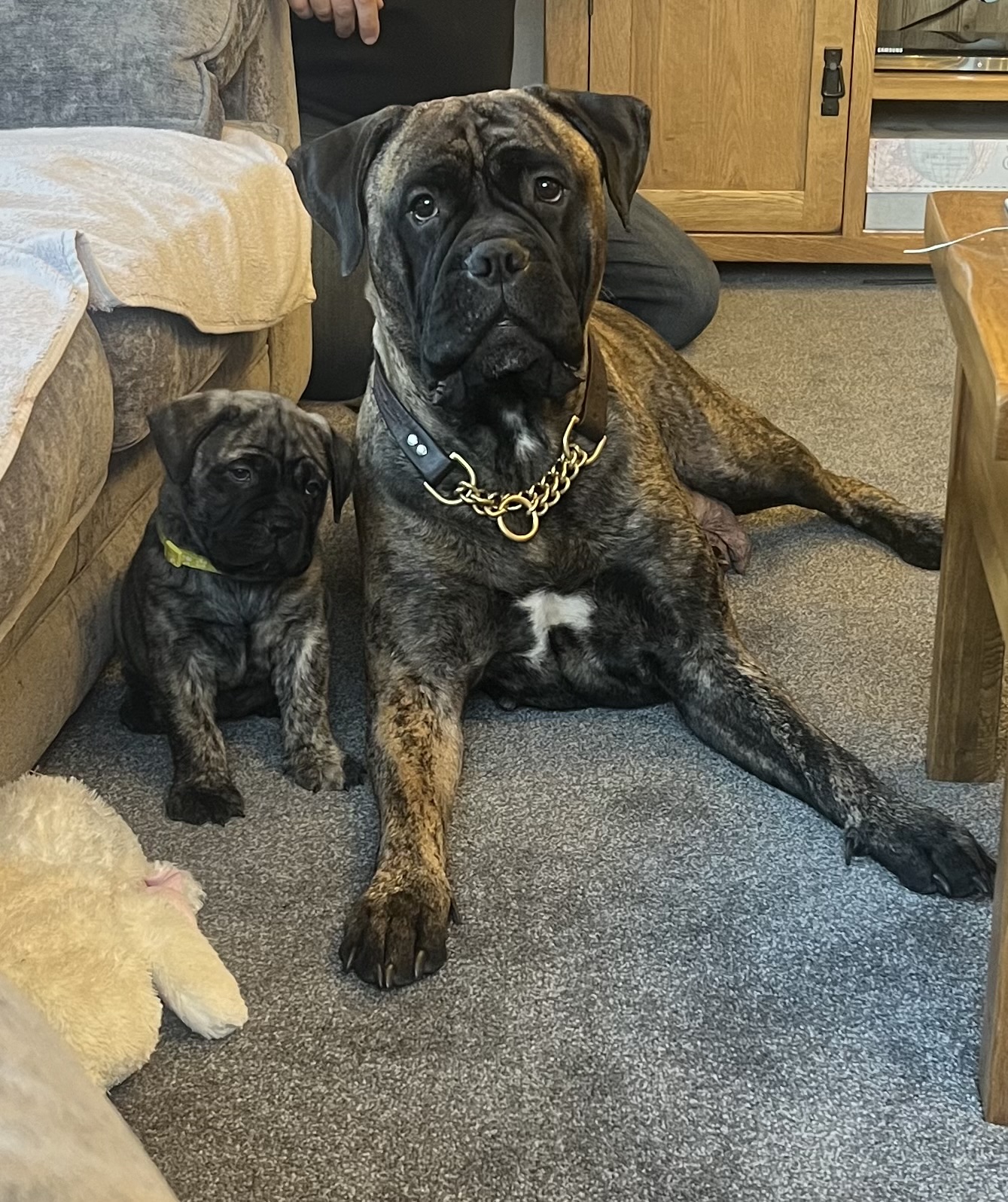 Mum with brindle girl 