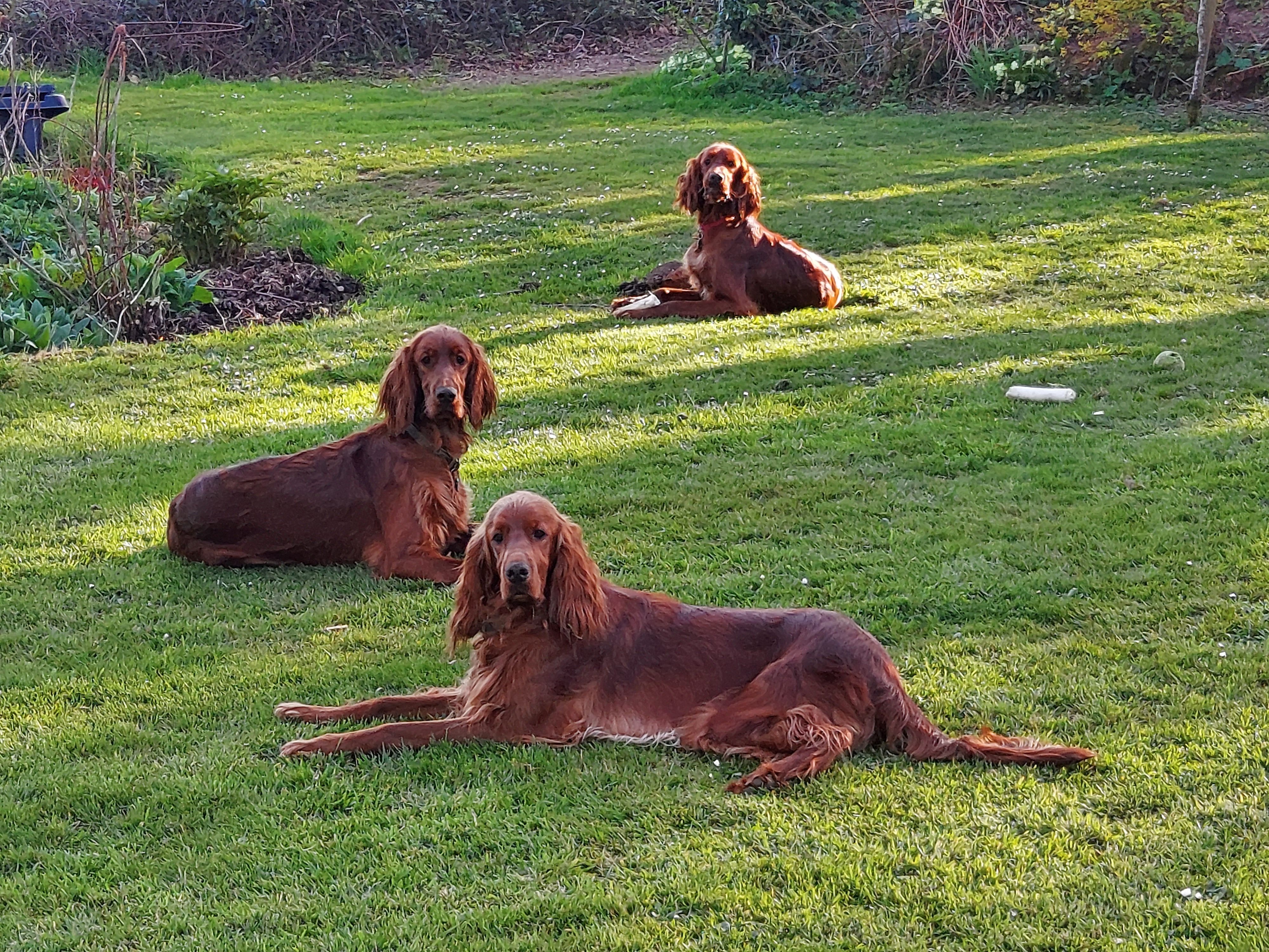 Mum aunt and grandmother