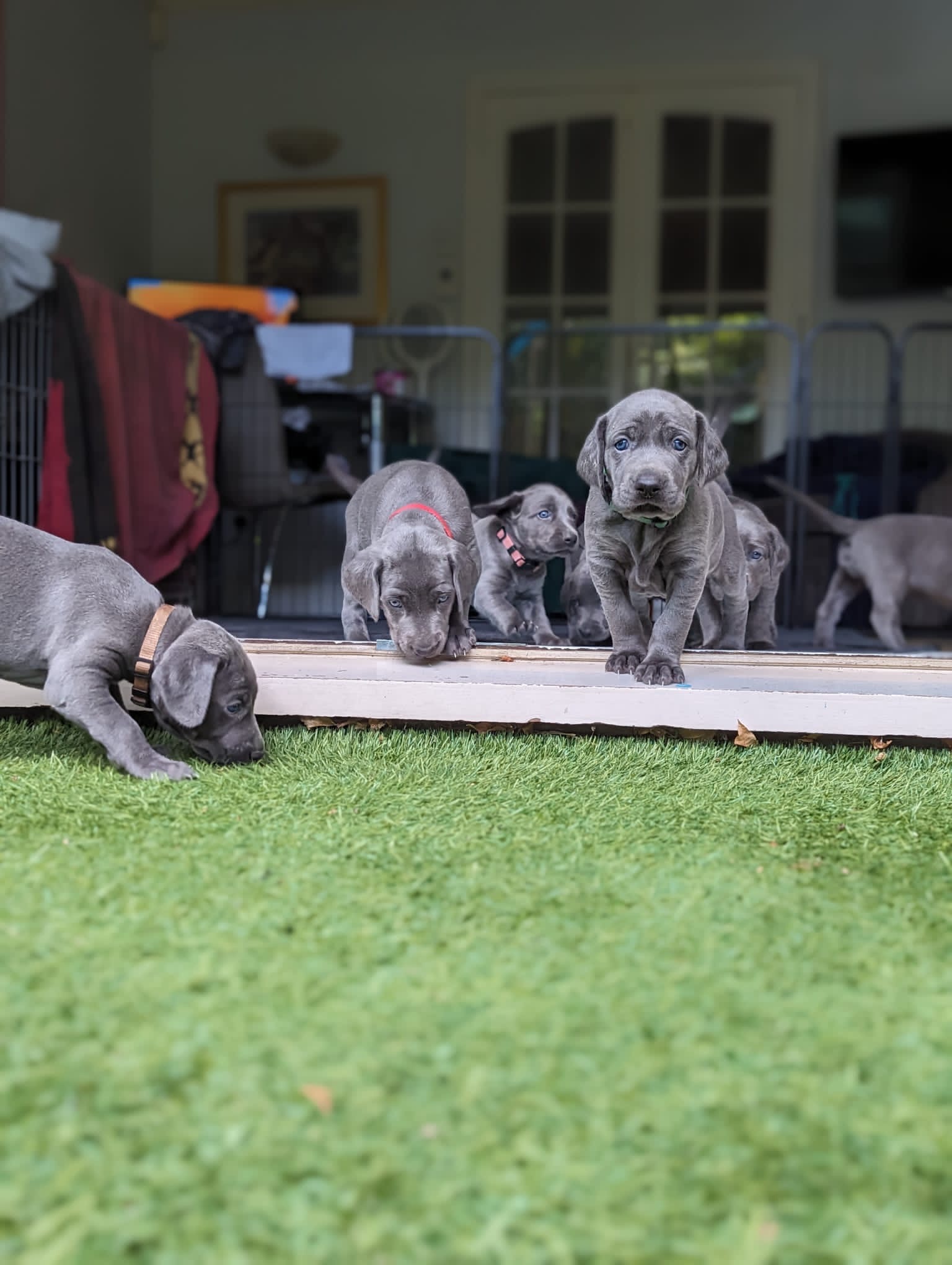 Exploring outdoors for the first time