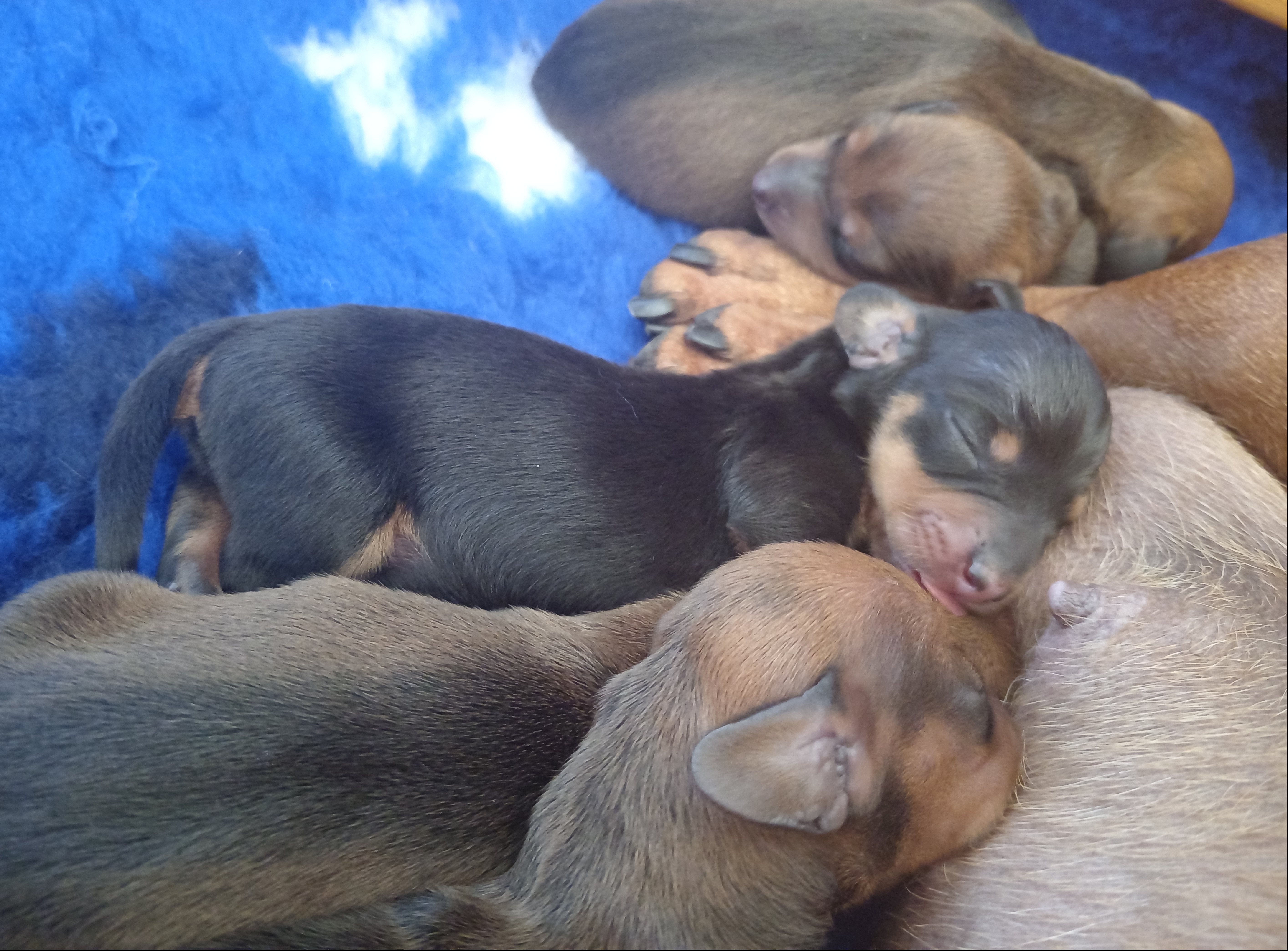 Babies napping after a feed