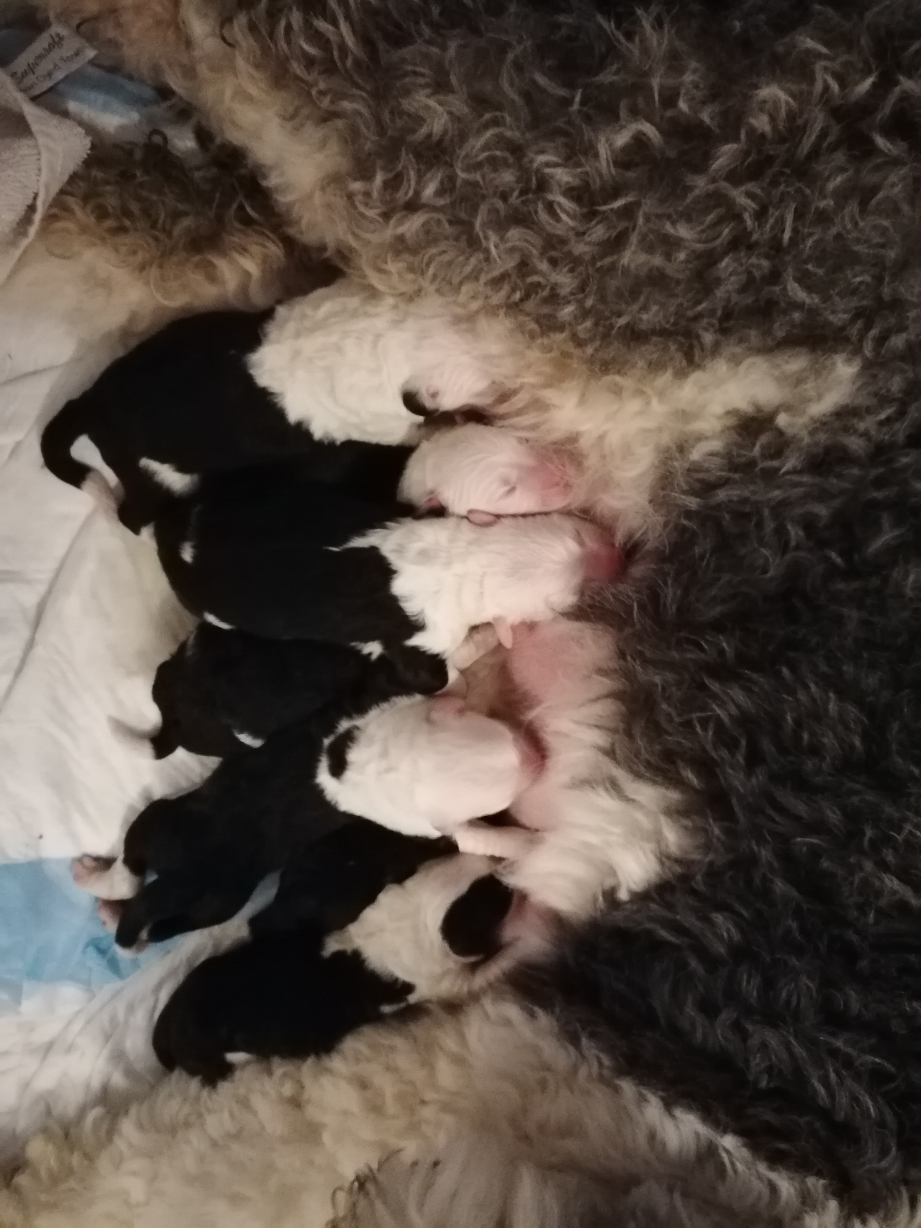 Only 2 days old
