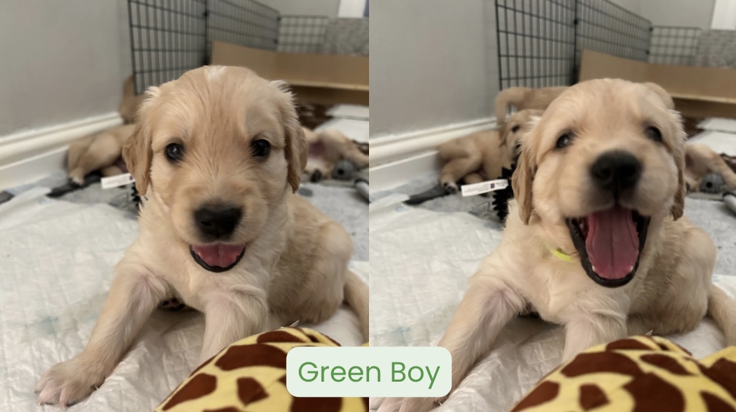 Green Boy - available 