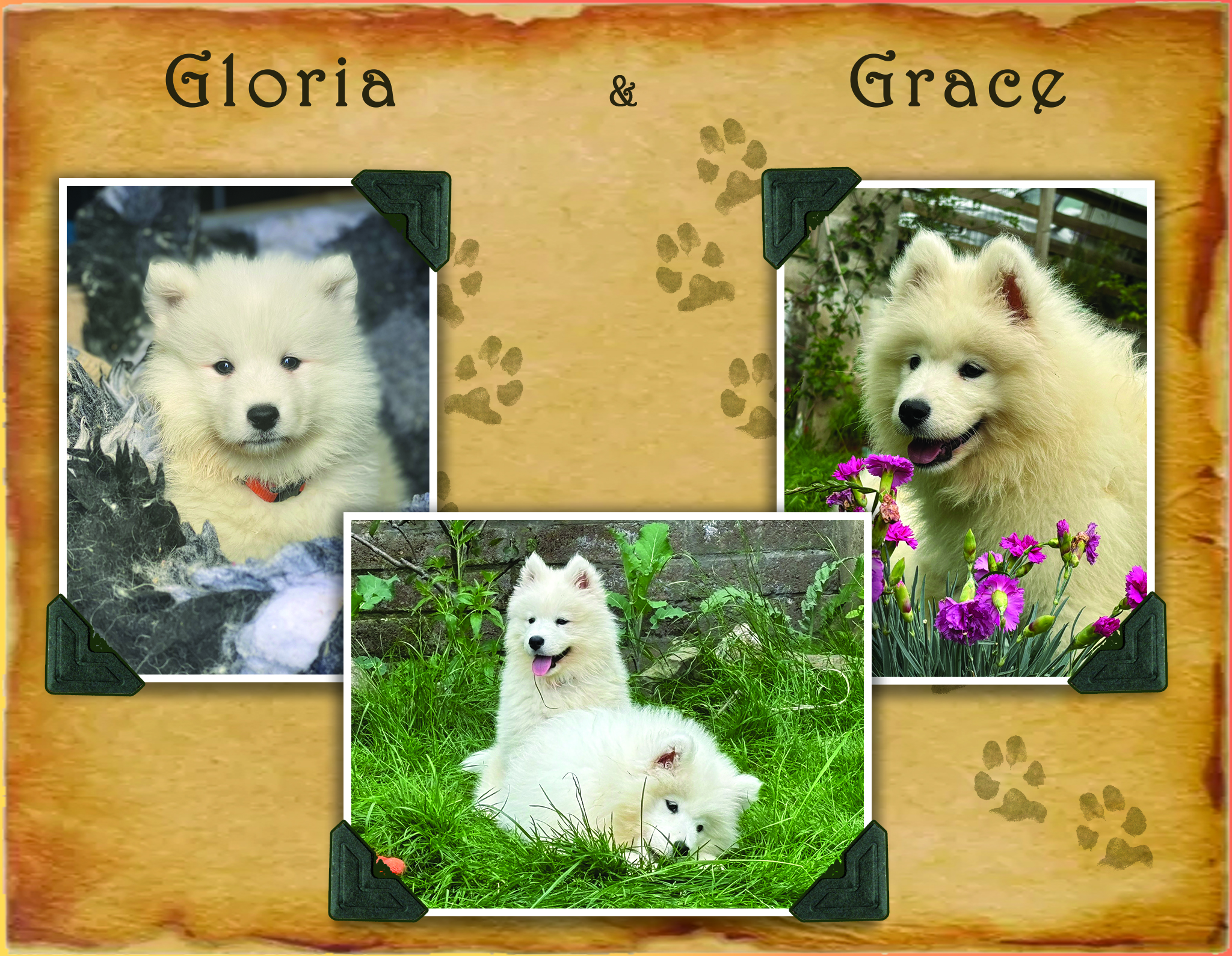 Gloria and Grace