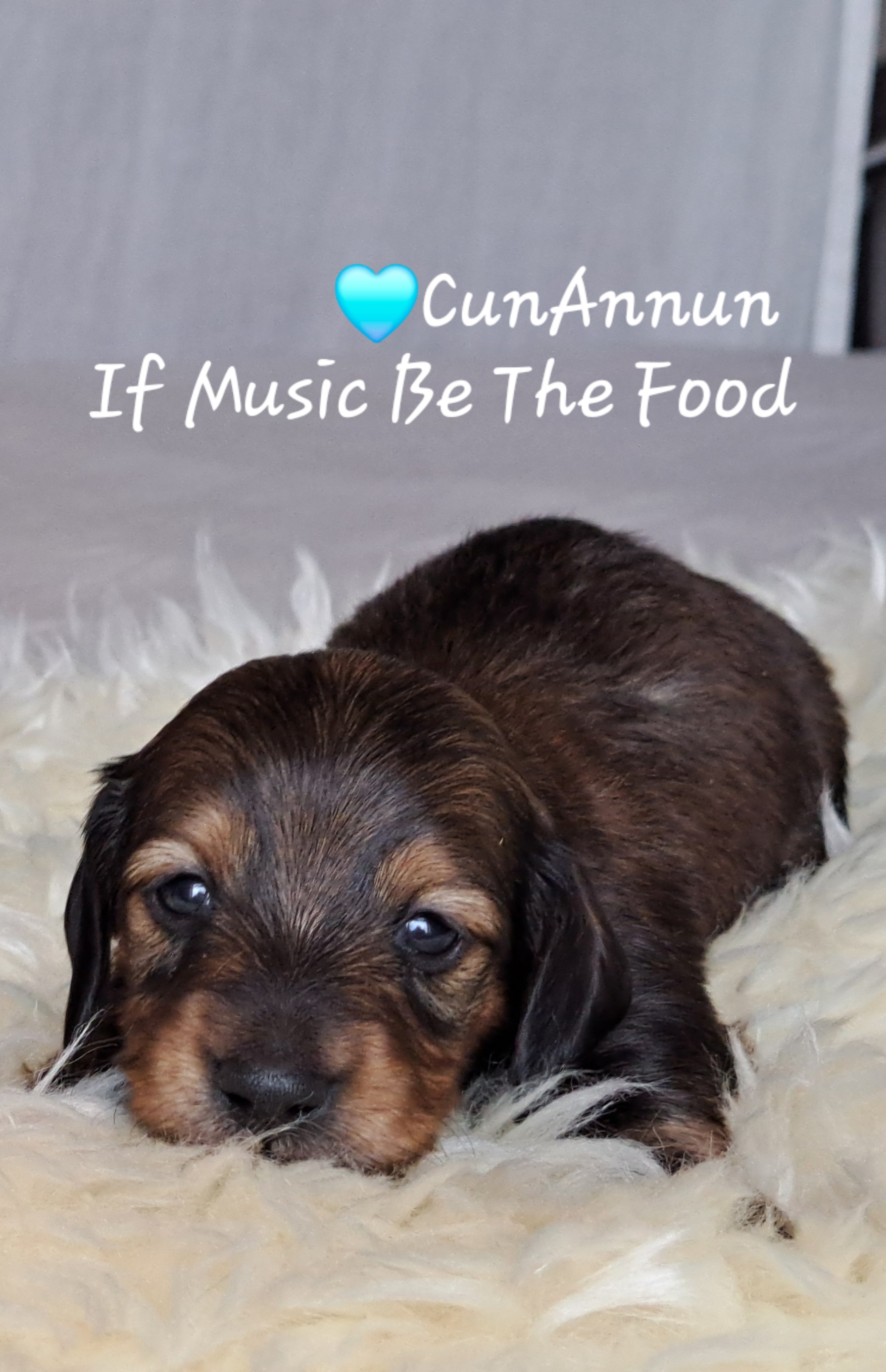 CUNANNUN IF MUSIC BE THE FOOD